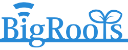 BigRootsのロゴ